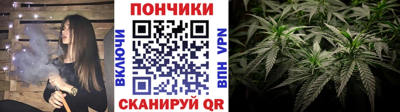 Бошки Шишки Bruce Banner  хочу   Медвежьегорск 